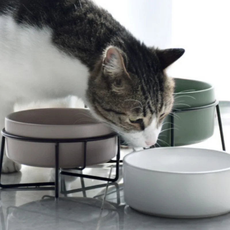 Cat Food Water Bowls with Stand Ceramic Pet Feeding Accessories Cats Small Dogs Eat Drink Supplies Puppy Feeder Ceramic Bowl