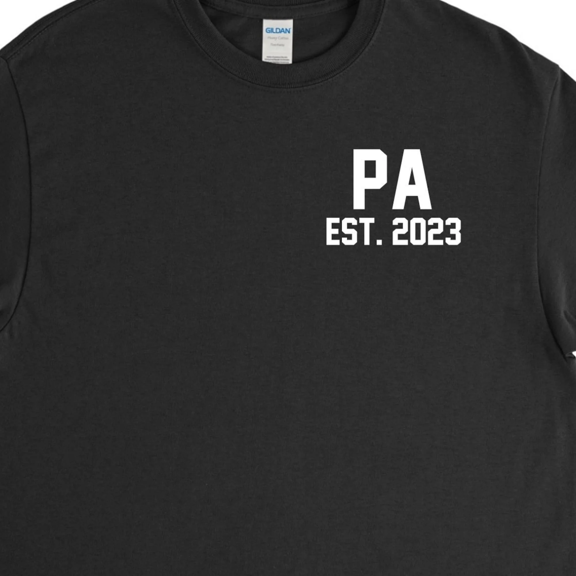 Pa Shirt,Pa 2023,Custom Pa Tshirt,Pa Gift,Funny Pa Tee,Pa Fathers Day,Fathers Day Gift,Gift for Him,Personalized Gift