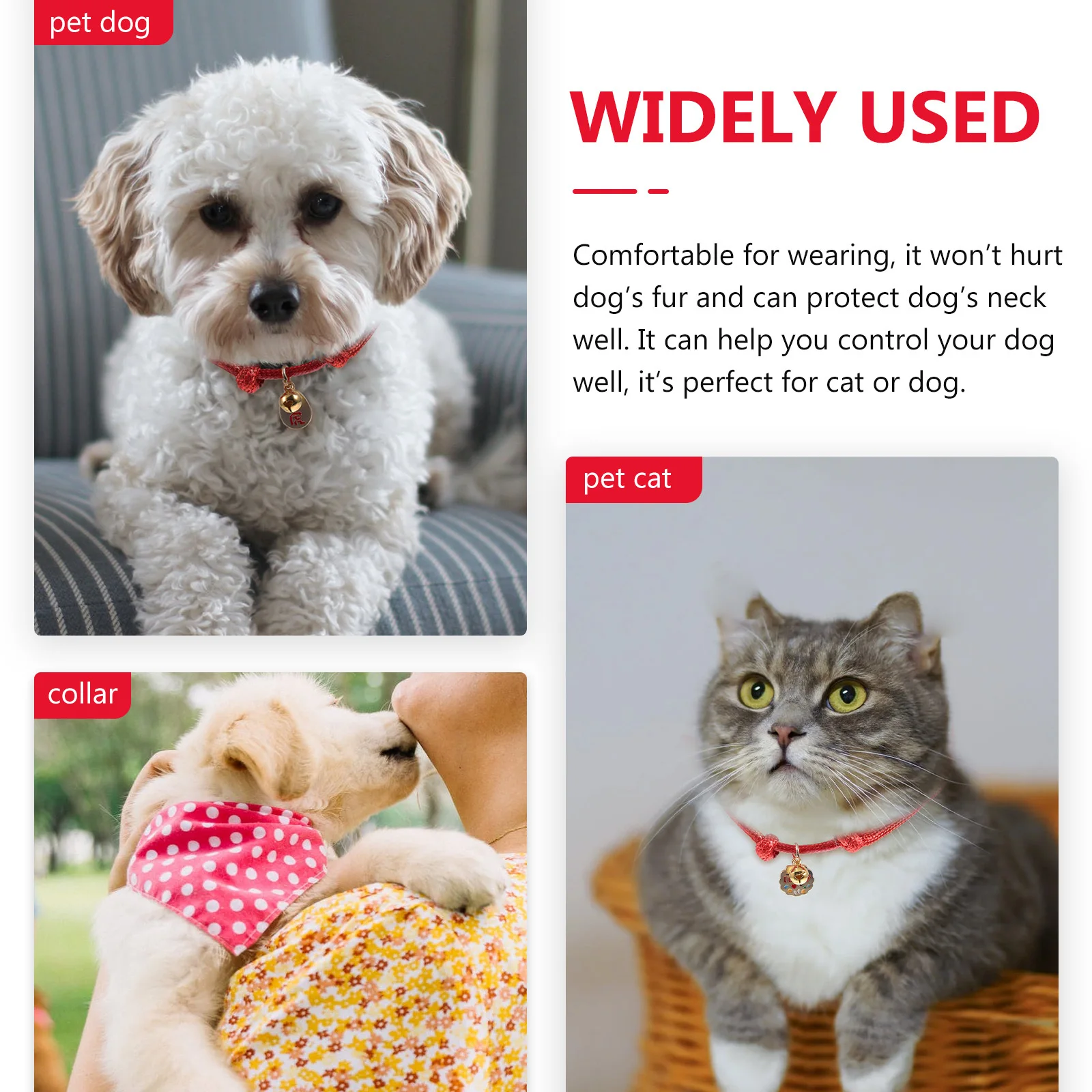 

2Pcs New Year Pet Collars Adjustable Circle with Blessing Tag Festive Pet Supplies Comfortable Puppy Dog Collar