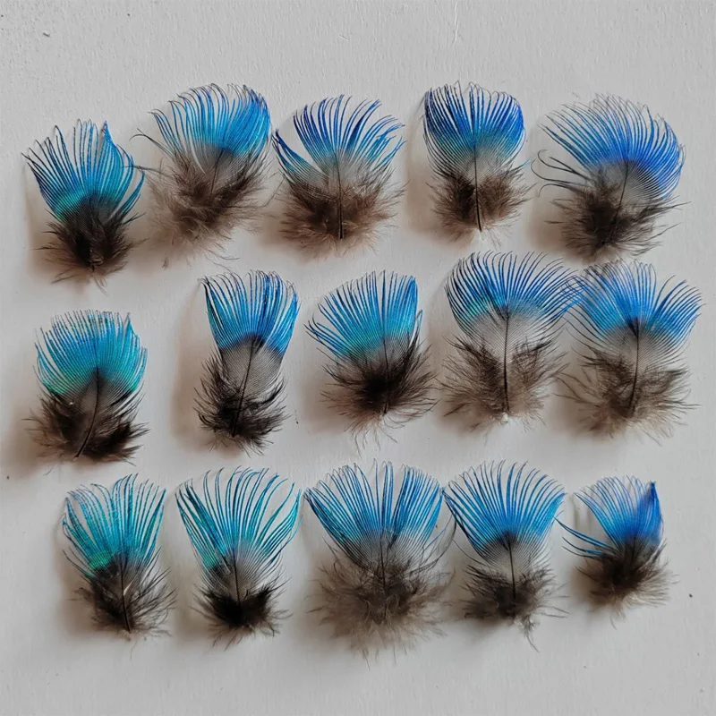 50 sztuk/partia krótkie niebieskie PEACOCK BODY PLUMAGE FEATHERS, mały paw pióropusz do rękodzieła, akcesoria do majsterkowania, błyszczący niebieski