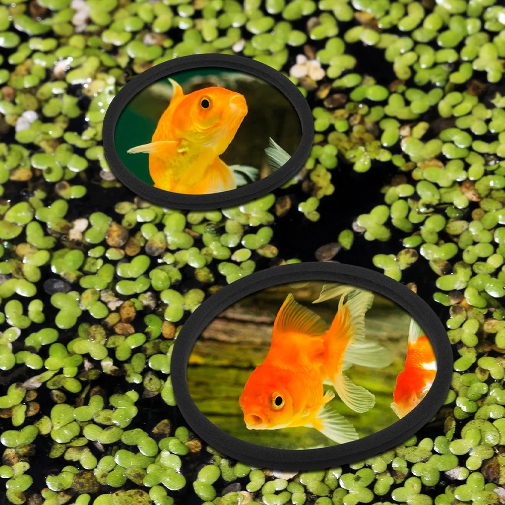 

2Set Aquarium Floating Plant Rings Durable Eva Isolation Circles Floating Plant Holder Fish Feeding Ring for Fish Tank