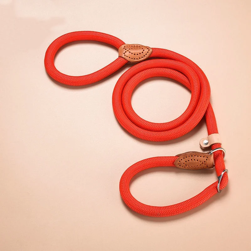 New Heavy Duty Dog Leash Slip Rope Lead Adjustable Braided Loop Collar Training Leash for Small to Medium Dogs