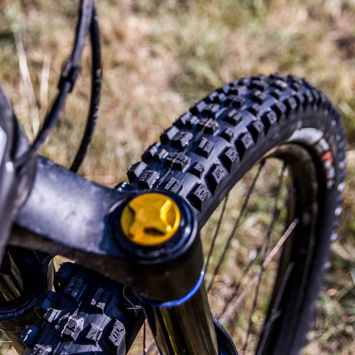 MAXXIS ASSEGAI ダウンヒルチューブレス MTB 自転車タイヤ 29 27.5