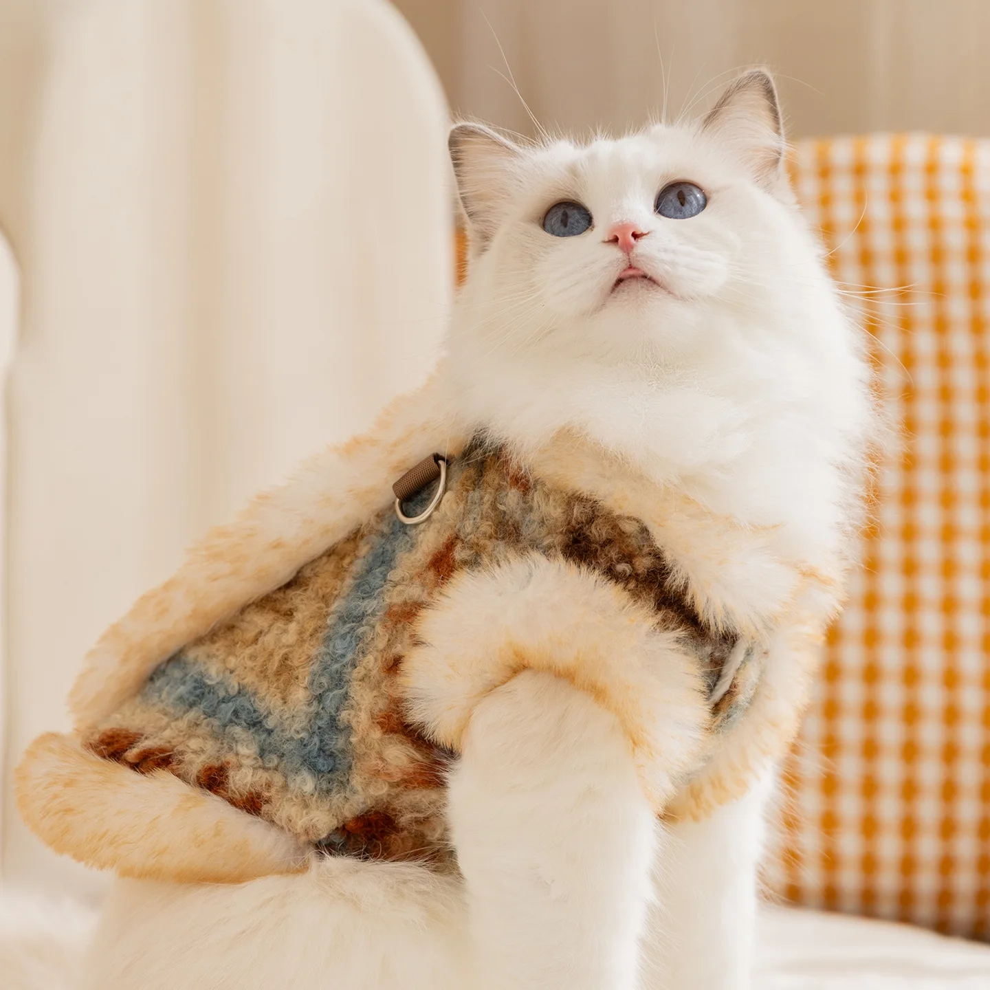 เสื้อกั๊กกำมะหยี่สำหรับสุนัขตั - Winter Clothing For Dogs บทวิจารณ์และราคา