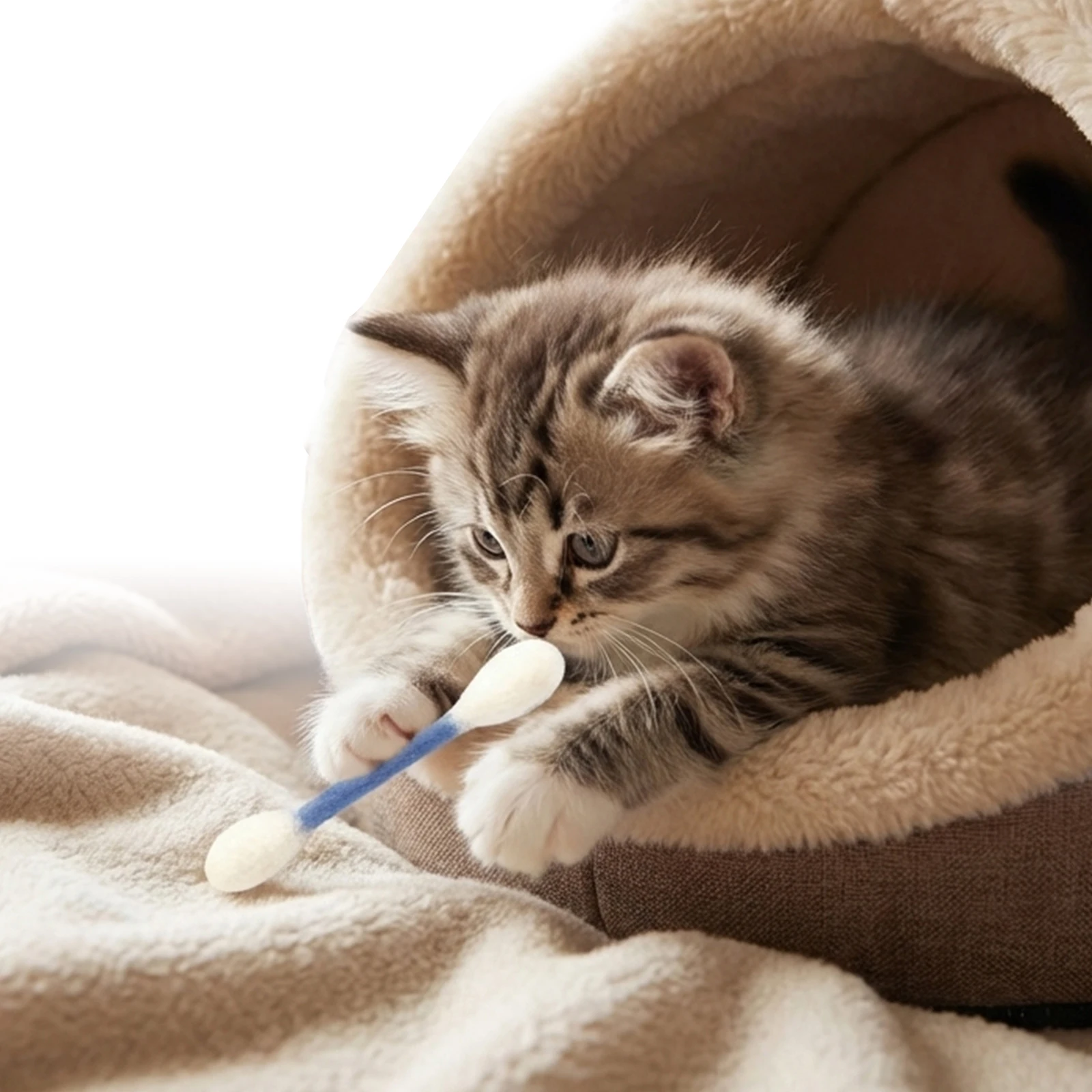 6er-Pack Riesiges Qtip Katzenspielzeug mit Katzenminze Qtip-Spielzeug für Katzen Kätzchen Kau-Zahnreinigungsseile gegen Langeweile & zur Verdauungsunterstützung