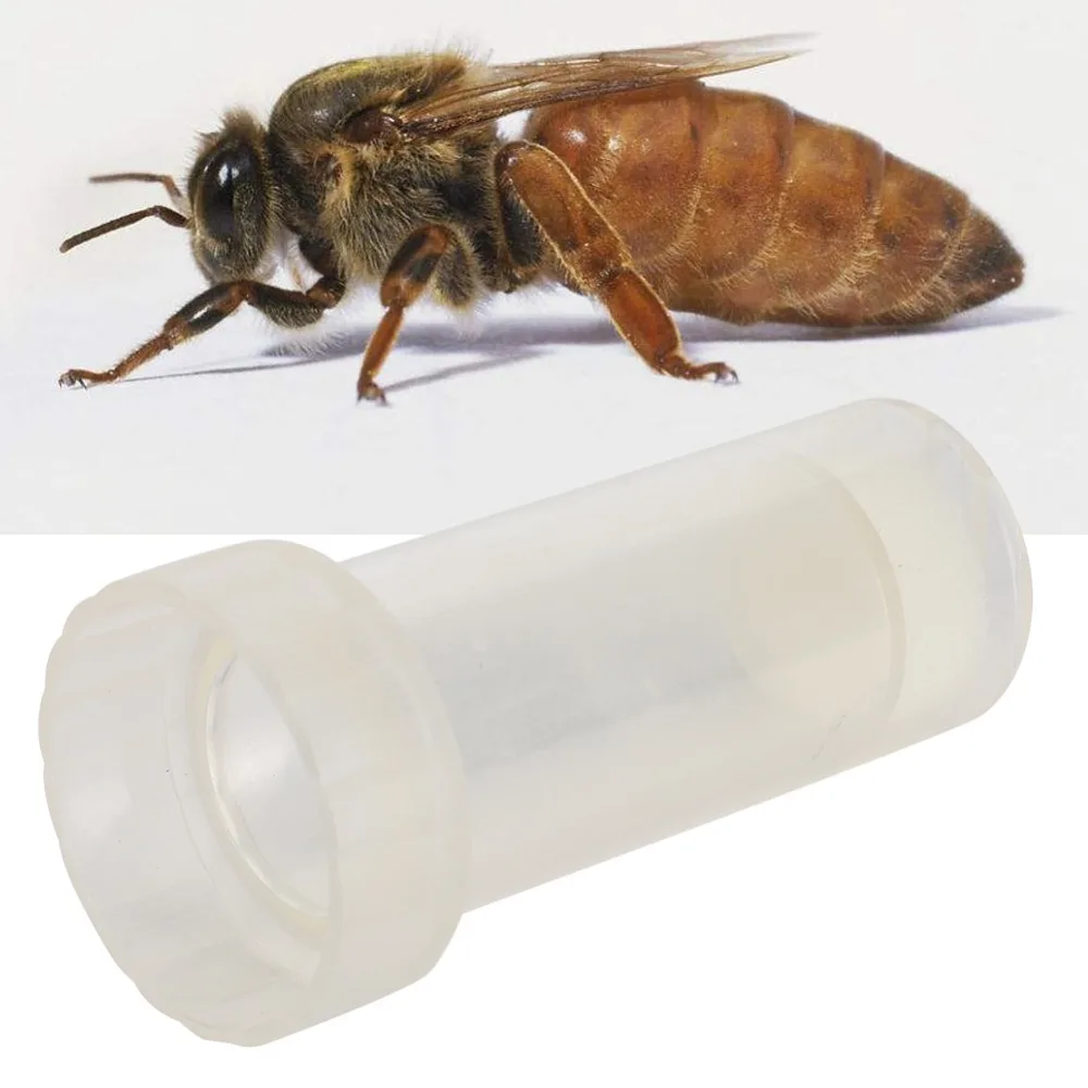 Plastic Queen Bee Marking Cage Lightweight Transparent Queen Bee Labeled Bottle Foam Cushion Beekeeping Marking Bottle