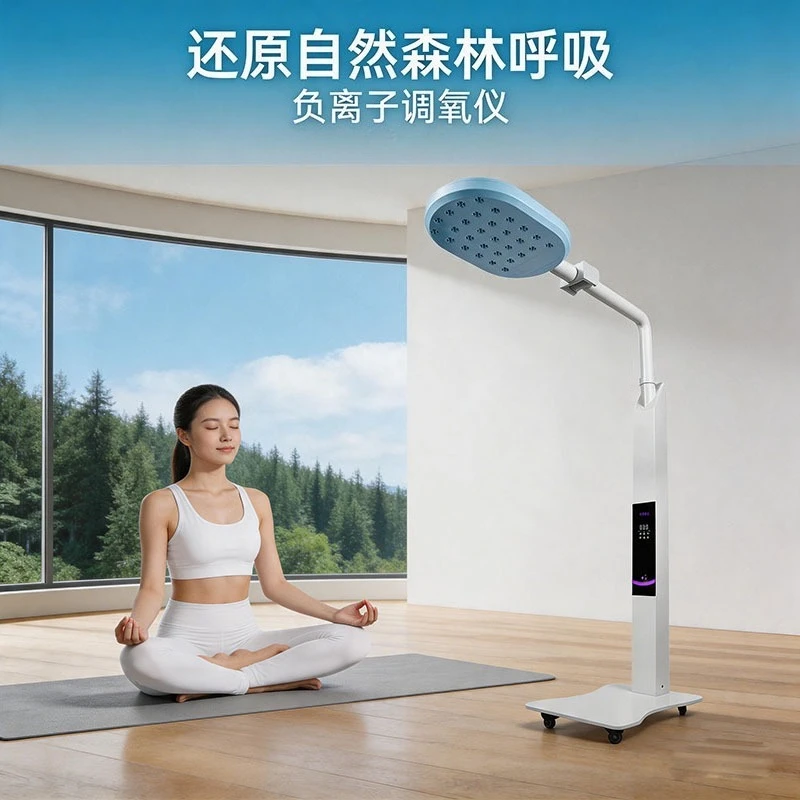 Negative ion oxygen regulator, silent multi-gear adjustment timing, traditional Chinese medicine museum health