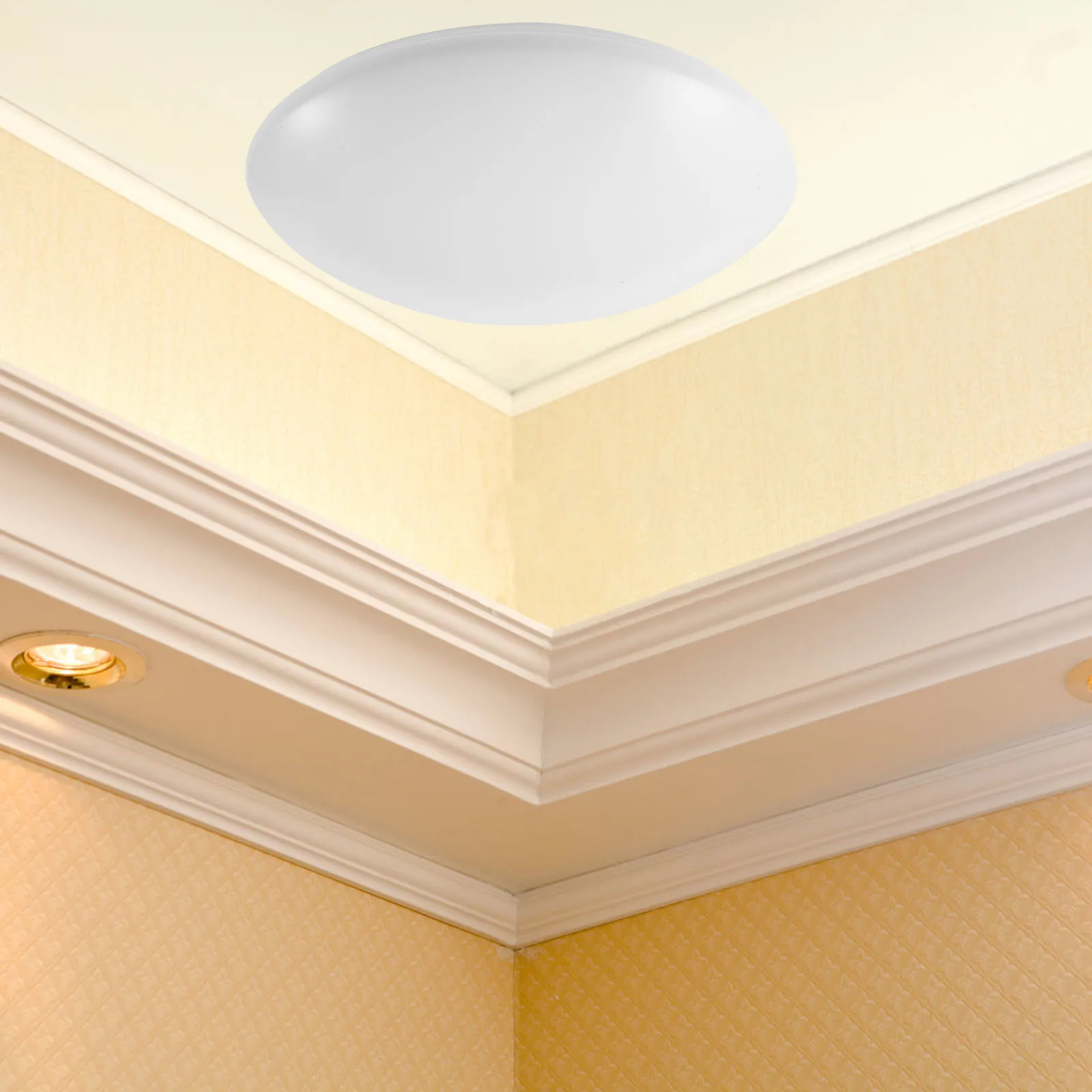 

Ceiling Light Cover Round Acrylic Lampshade Durable Soft Light Diffuser Easy Cleaning for Bedroom Living Room Office Kitchen