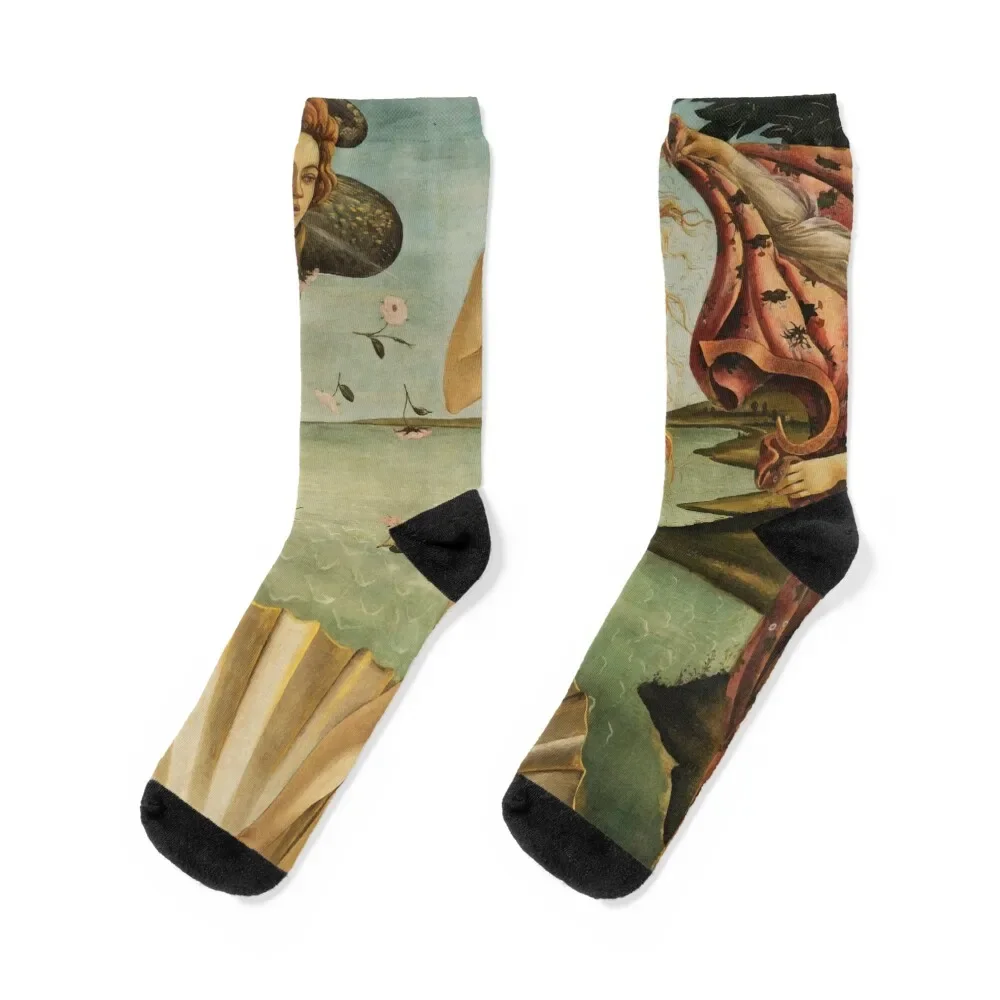 Sondro Botticelli The Birth of Venus Socks shoes Soccer custom sports Men's Man Socks Women's