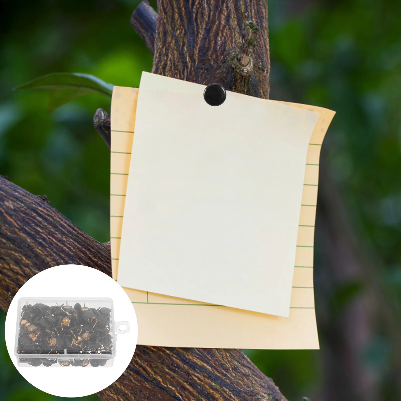 

200pcs Round Flat Thumbtacks Plastic Cork Board Accessories for Bulletin Boards Photo Map Tacks Pushpins Decorative