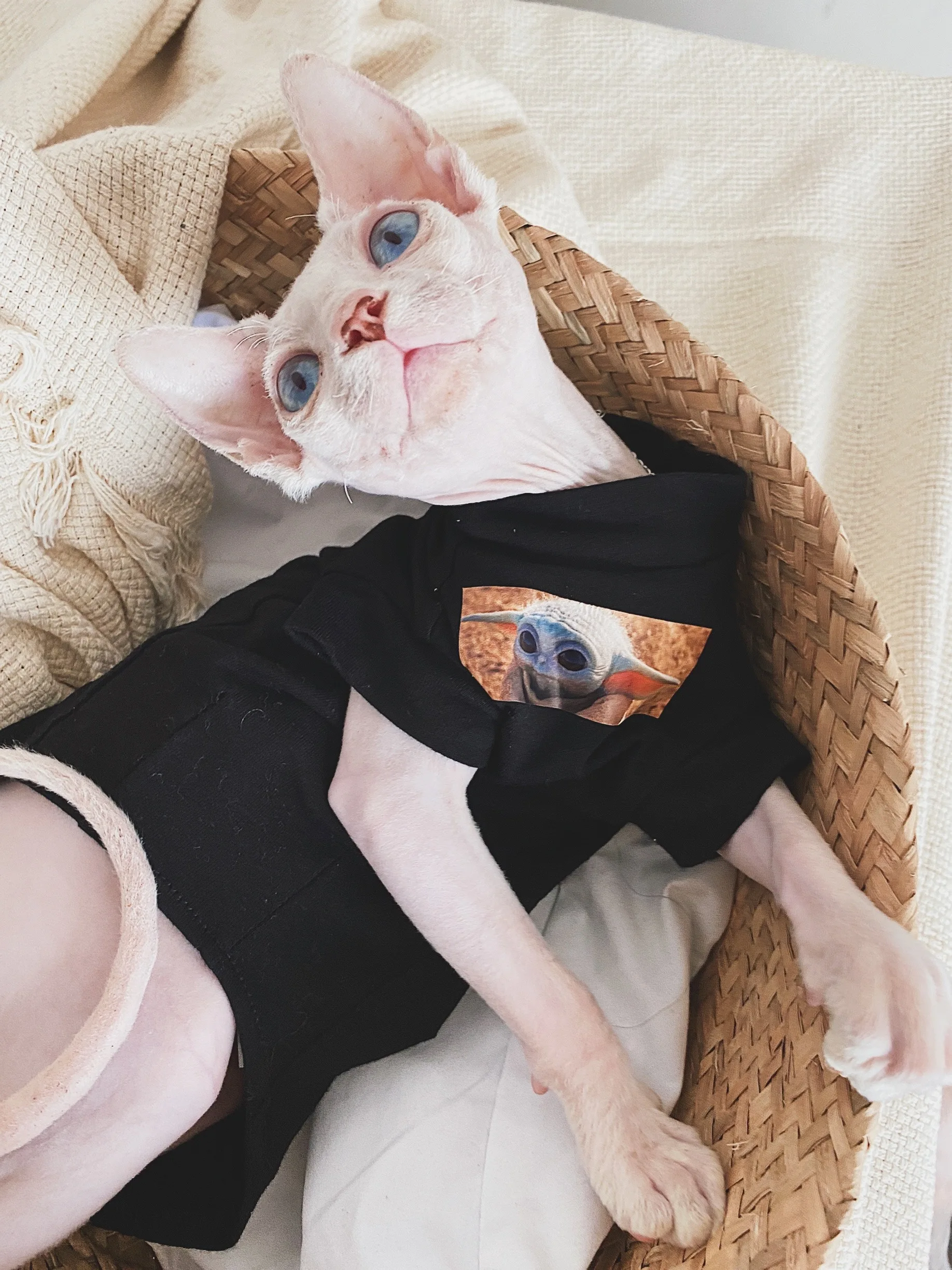 Cat Clothing Spring Summer Cotton shirt for Sphynx Fashion Black Short Sleeves Coat for Cats Dogs Cartoon Jumpsuit For Devon Rex