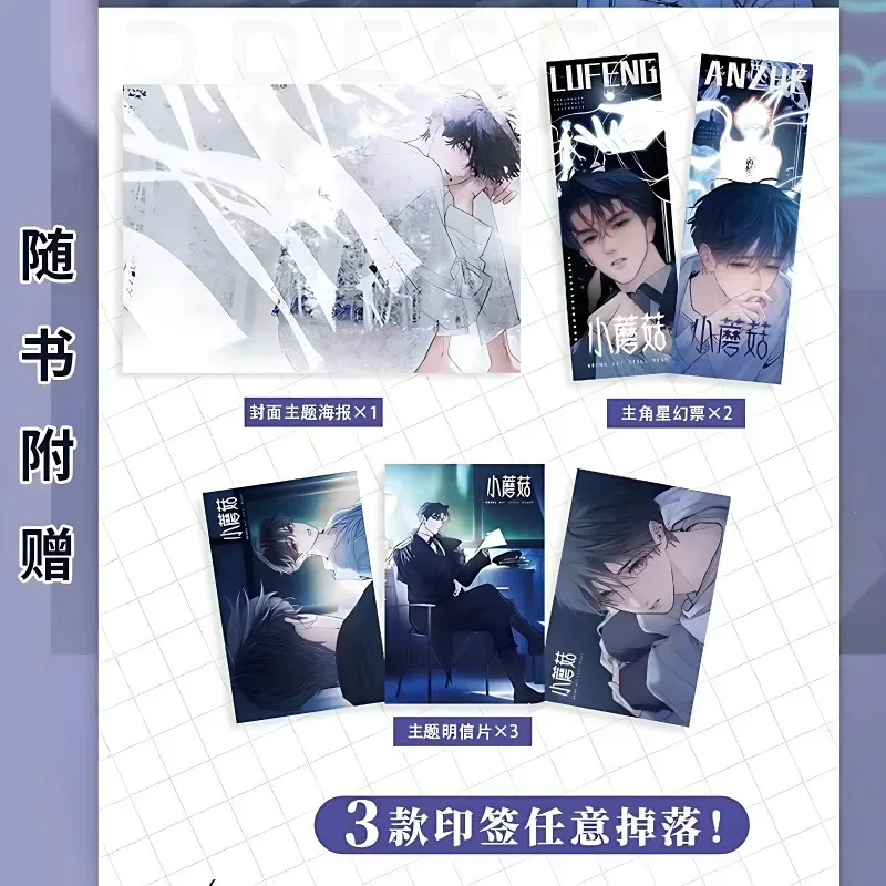 Рисунок 3 - Маленький гриб Vol