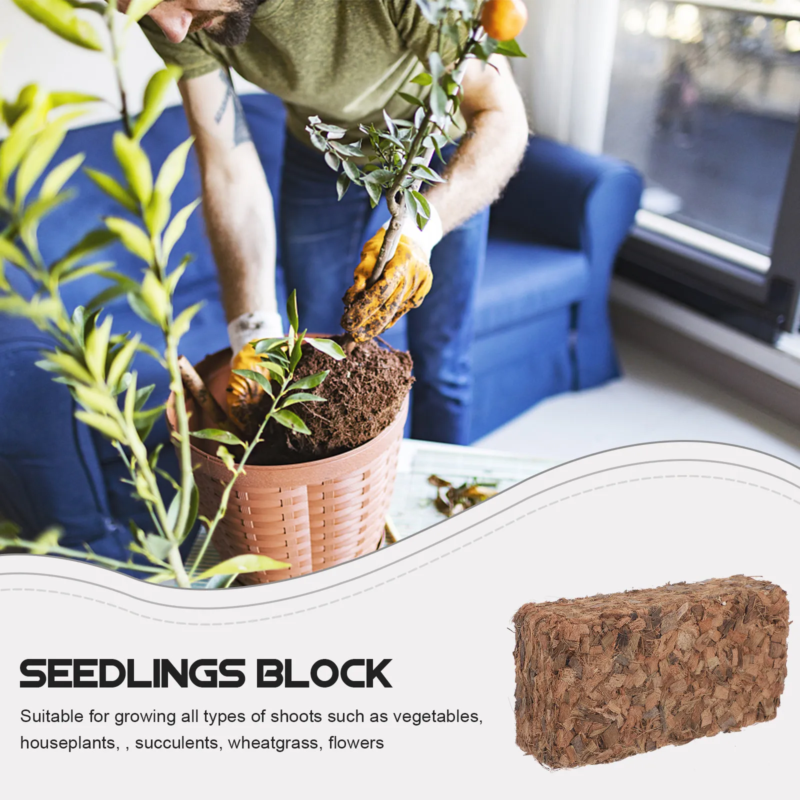 1 Pacote de Bloco de Solo de Fibra de Musgo Sphagnum para Início de Plantas e Mudas, com Nutriente e Fertilizante