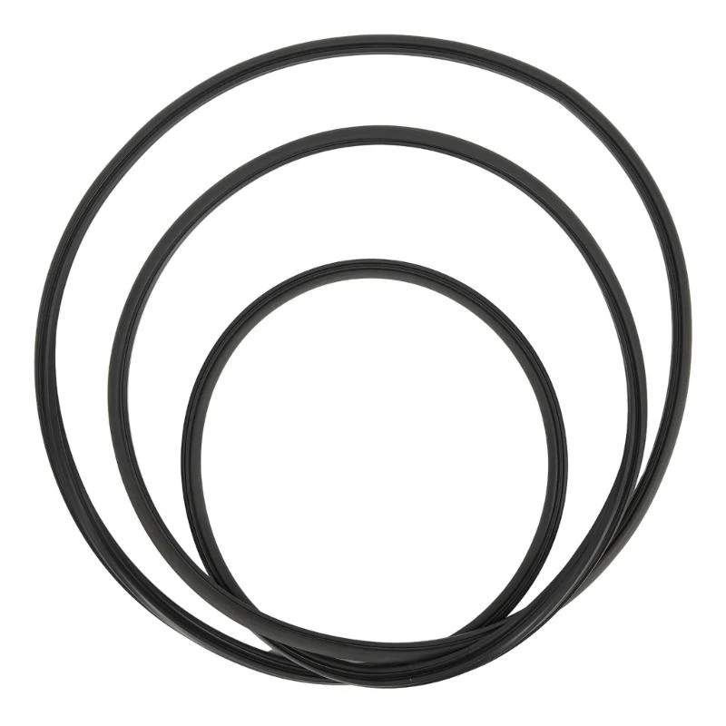 

37JE Car Sunroof Glass Seal 31218248 for C30 Replacement Sunroof Seal