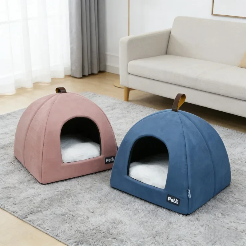 Warm Winter Cat Cav…