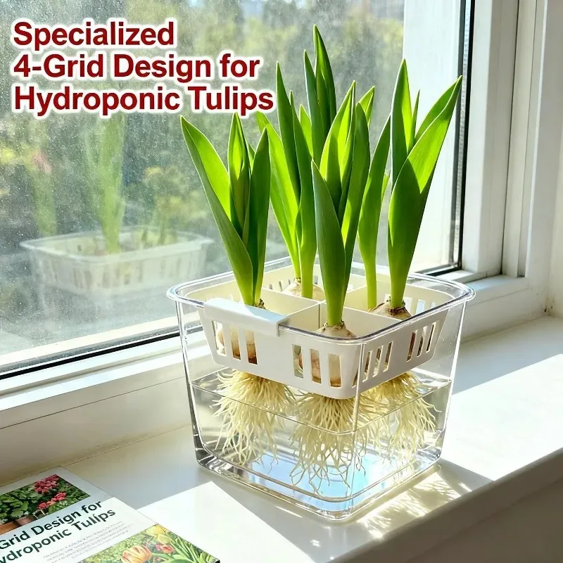 Tulip Bulb Hydroponic Planter Light Transmitting Flower Pots Four Compartment Inner Basket Self Watering PP Container for Garden