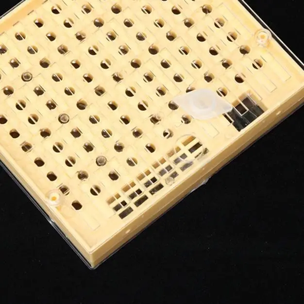Insect-free King Breeders, Medium Bee Artificial King Tools, Full Set of Beekeeping Packages, Italian Bee King Box, Platform Bas
