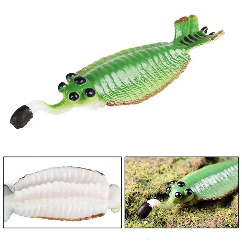 

Prehistoric Ocean Animal Figure Simulation Nautilus Marine Life Figurines Ancient Anomalocaris Trilobite Figure Children Gift