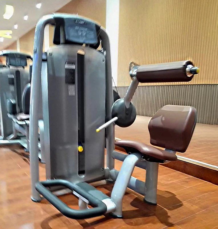 LAND Fitness Equipment Pressa toracica inclinata e pressa per spalle (doppia funzione) LD-7006 Macchina per palestra club