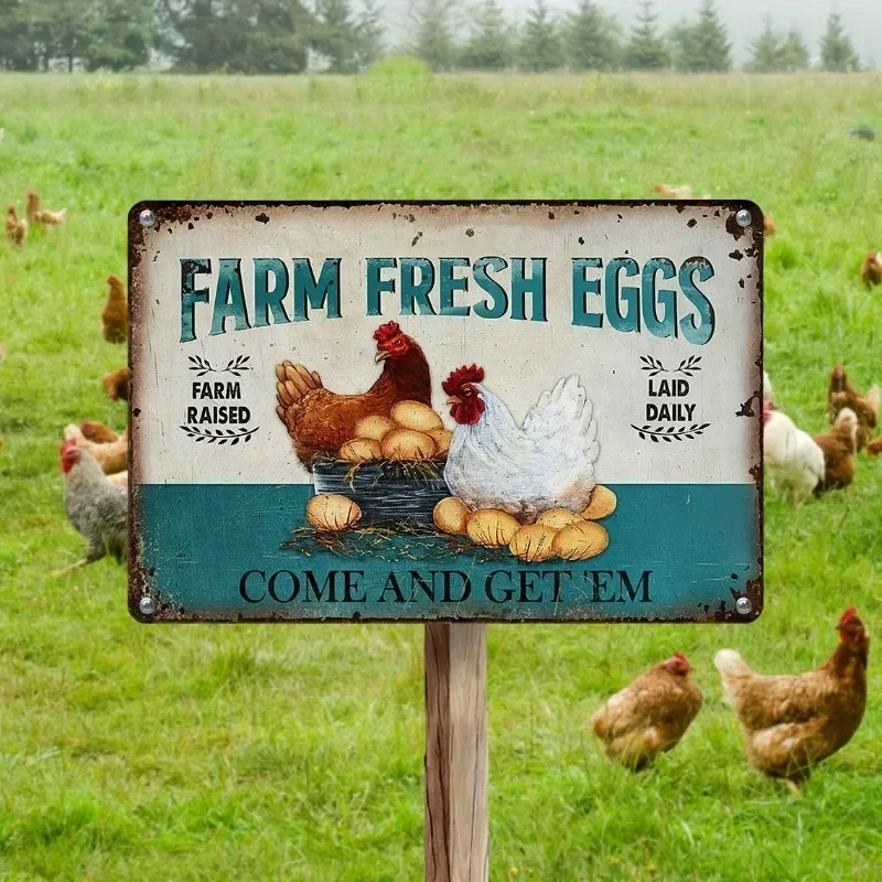 Farm Fresh Chicken Metal Poster Board Vintage Tin Sign Farmhouse Coop Garden Door Signs Wall Decor Tinplate Painting Art Plates image 4