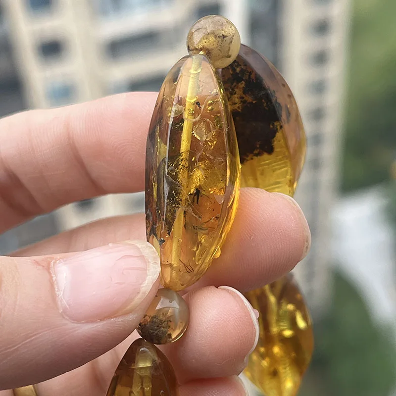 Insect Amber Bracelets Women Men Gift Unique Special Baltic Stone Natural Beads Flyings Faceted Plant Amber Jewelry Supplier