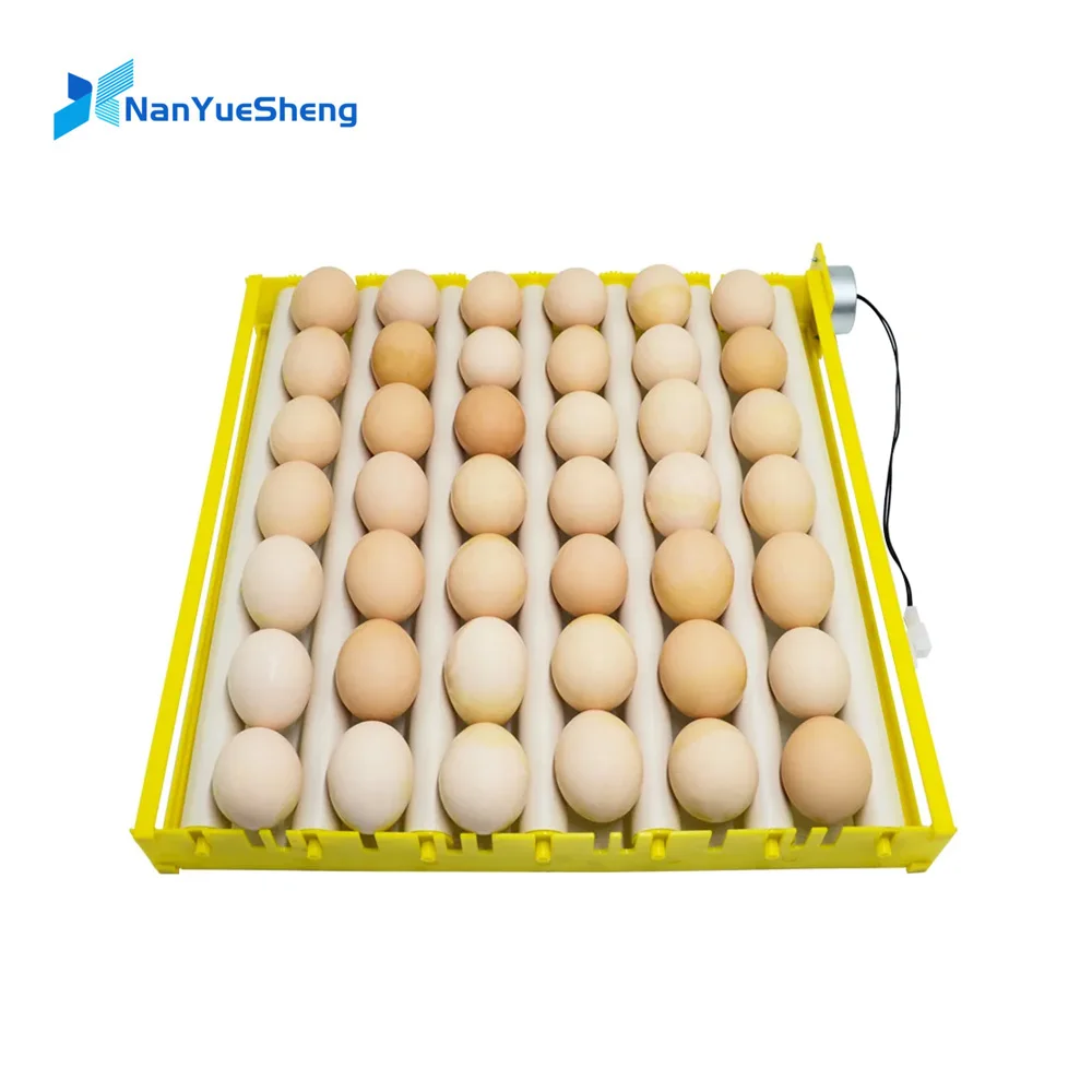 

Automatic 360 Degree Rotary Egg Turner Roller Tray Duck Quail Bird Poultry Eggs Hatching Incubator Farm Incubation Tool 42 eggs