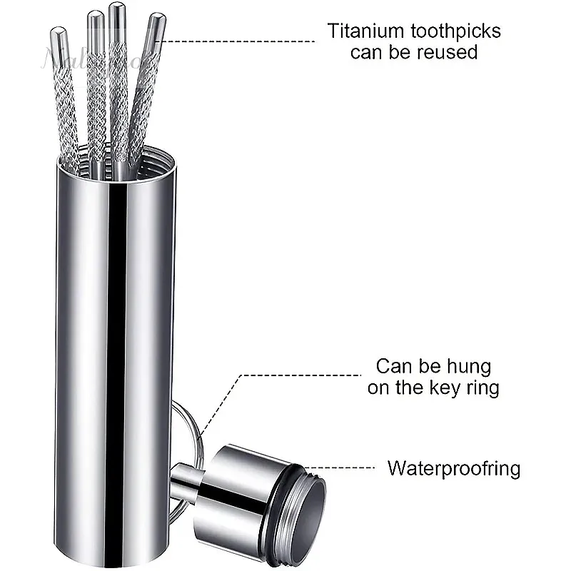 Stainless Steel Portable Toothpick Kit with Keychain Reusable Floss Holder Metal Cleaning Pick Pocket Set