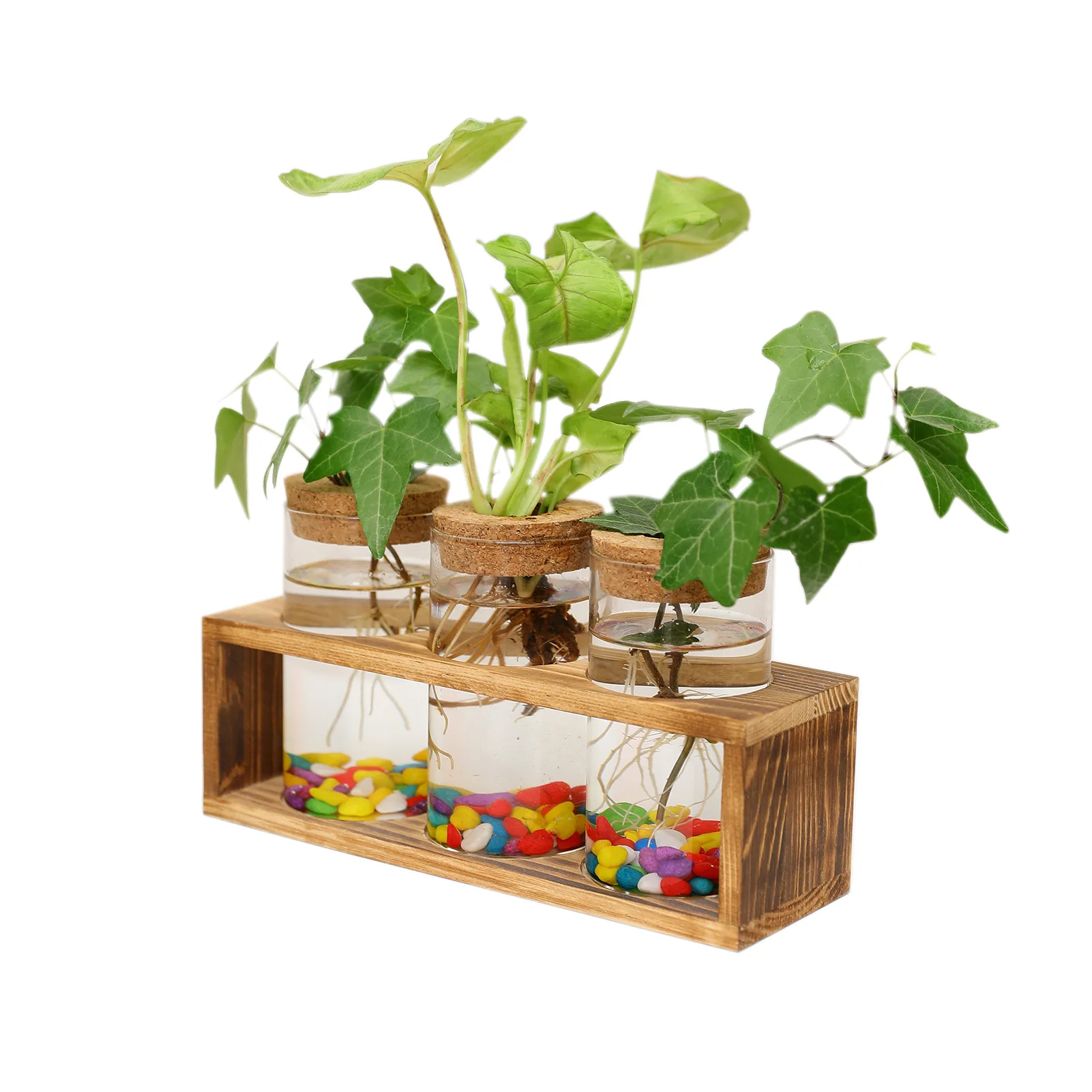 

Glass Wooden Frame Hydroponic Vase Ornaments Living Room Flower-arranging Utensils Dried Flowers Rose Tulip Vase Ins Balcony Des