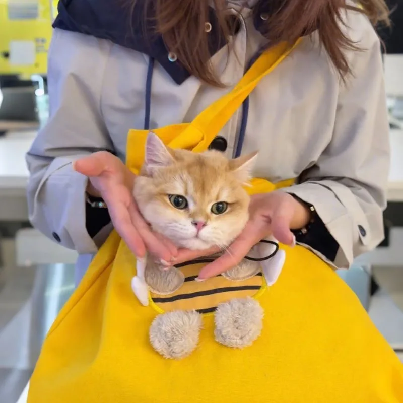 Pet Carrier Sling Bag for Small Cats Dogs Breathable Mesh Crossbody Shoulder Tote Adjustable Head-Out Travel Purse