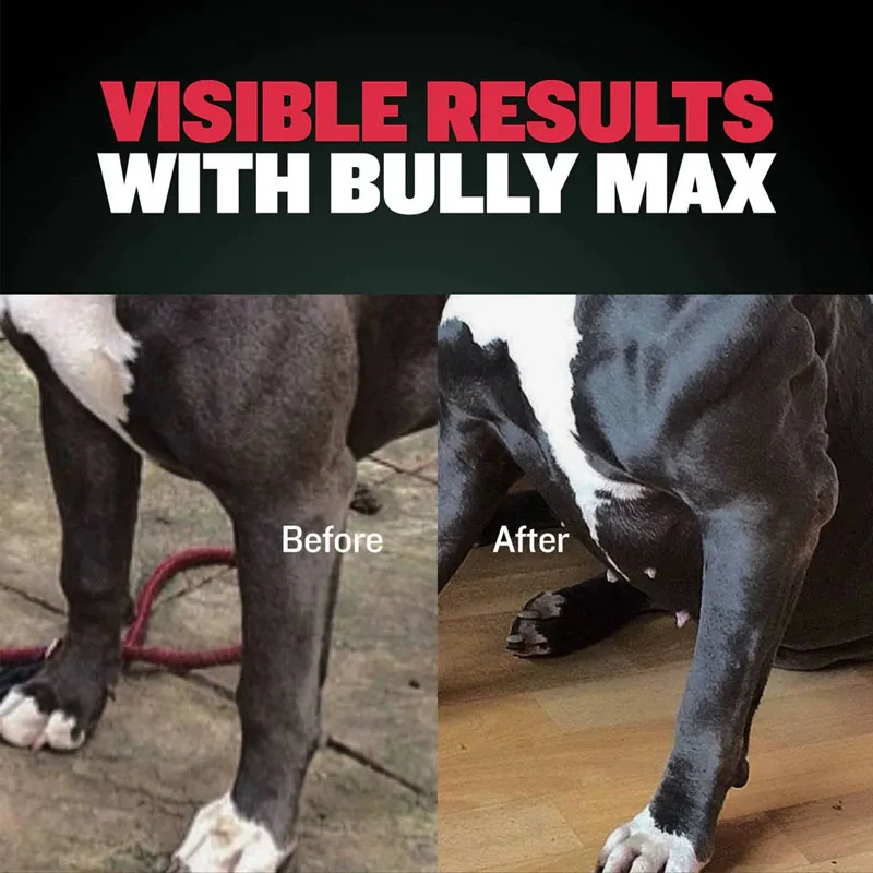DOG BULLY MAX 2-IN-1 The Ultimate Muscle Builder Increase Strength 1 Bottled