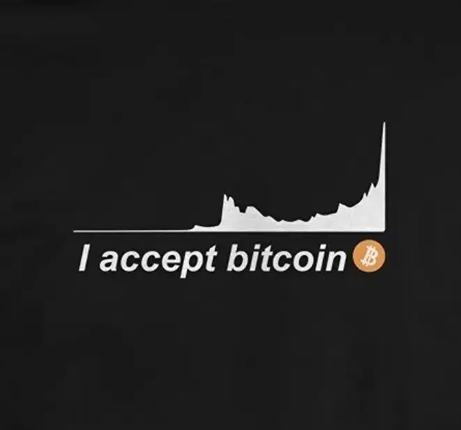I  Accept Bitcoin. Funny Cryptocurrency Bitcon Lover T Shirt. Short Sleeve 100% Cotton Casual T-shirts Loose Top Size S-3XL