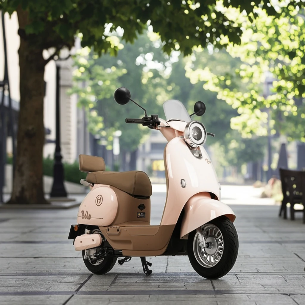 New Arrival 800W Electric Intelligent Motor Scooter 60V/48V Steel Streetbike for City Commuting and Off-Road Motorcycle