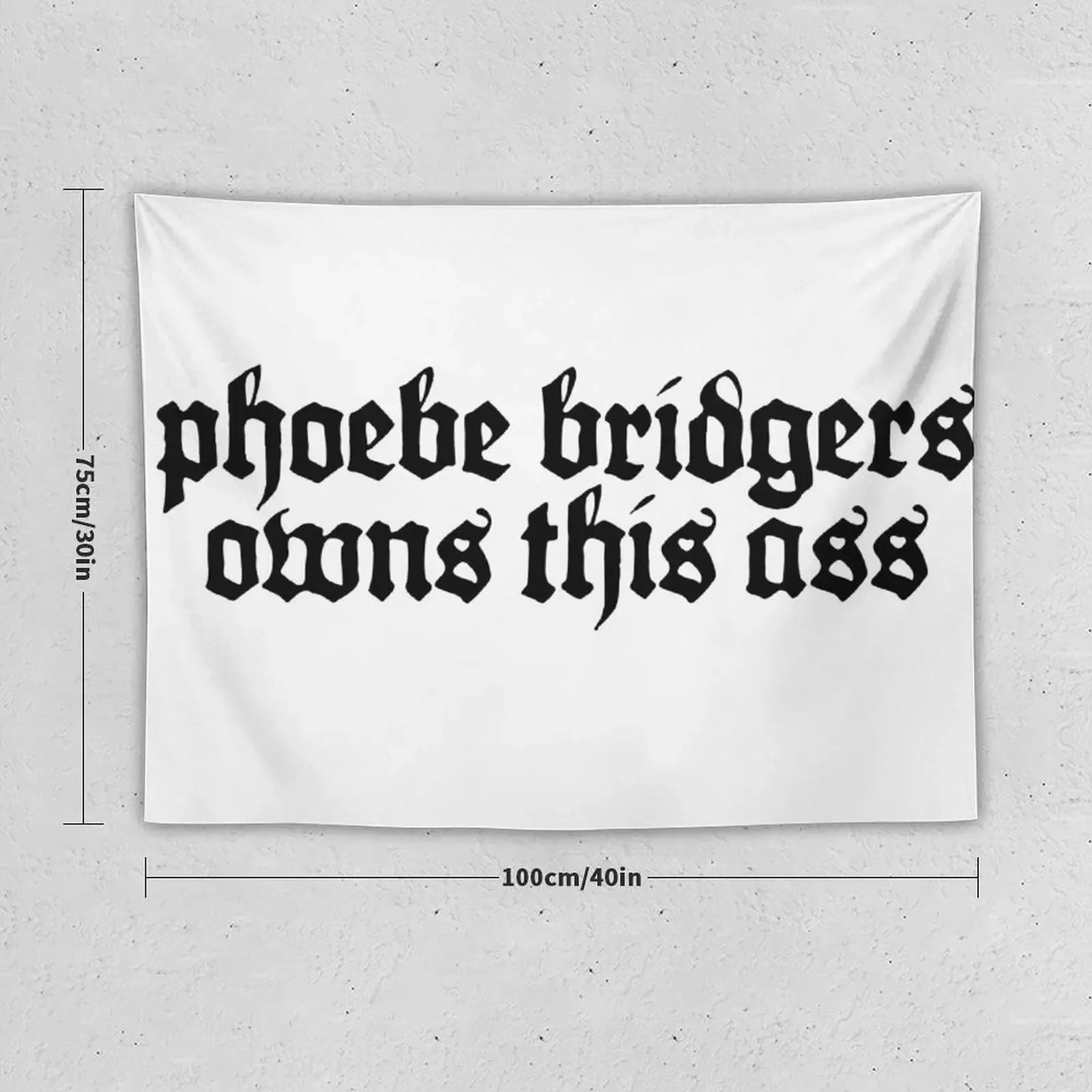 phoebe bridgers owns this ass Tapestry Aesthetic Home Decor Decoration For Home Decoration Bedroom Tapestry