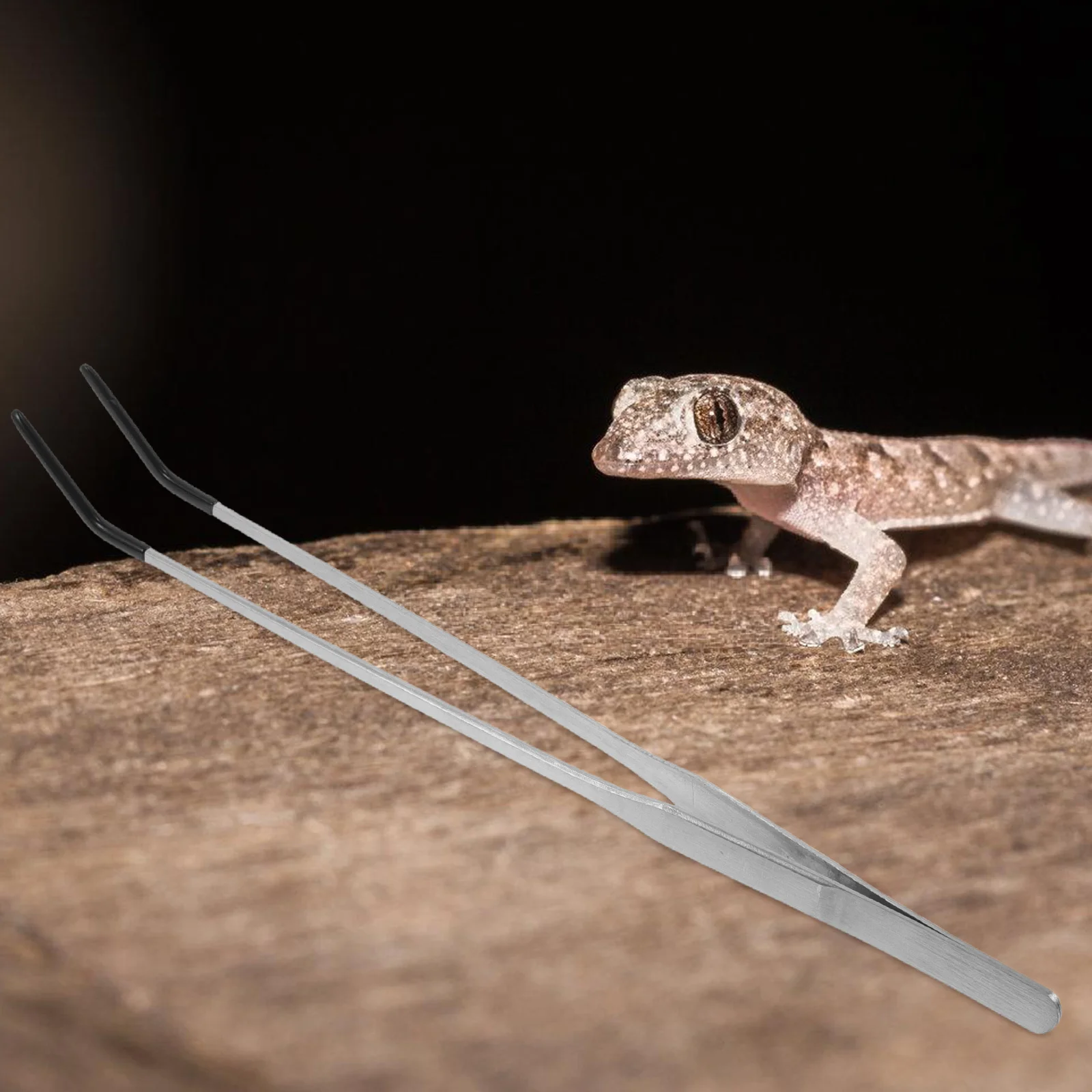 2 قطعة ملقط تغذية الزواحف من الفولاذ المقاوم للصدأ تصميم دقيق ملاقط منحنية مستقيمة لحوض السمك السحالي Geckos #3