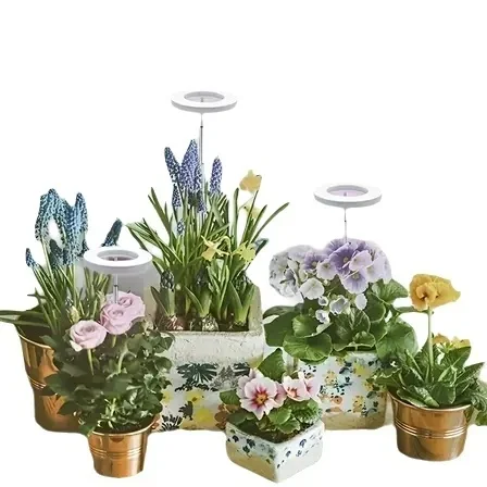 

LED telescopic plant lamp growth lamp angel ring succulent red and blue full spectrum flower succulent plant fill light