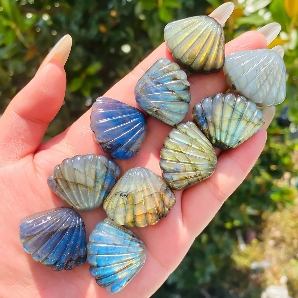 Piedra labradorita Natural, concha de cristal tallada, estilo lindo, decoración del hogar, joya Ideal para regalo de Navidad y Halloween, 1 ud.