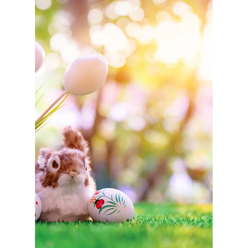 Easter Eggs Rabbit Photography Backdrops Photo Studio Props Spring Flowers Child Baby Portrait Photo Backdrops  21430 CJ-02