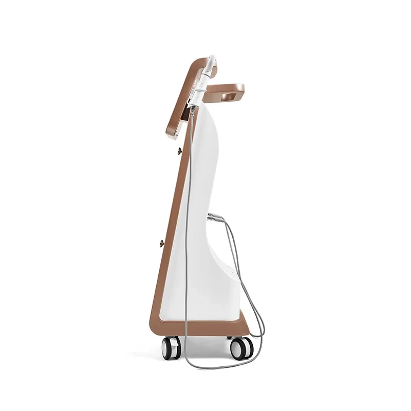 プラズマアナライザー 2-in-1 スキンケアデバイス、肌管理総合デバイス、美容室で使用