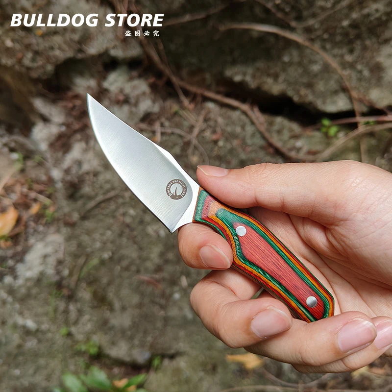 EDC في الهواء الطلق المحمولة شفرة مثبتة سكين مع غمد صغير التخييم بقاء Bushcraft السكاكين التكتيكية والعتاد سكين الجيب الأصلي