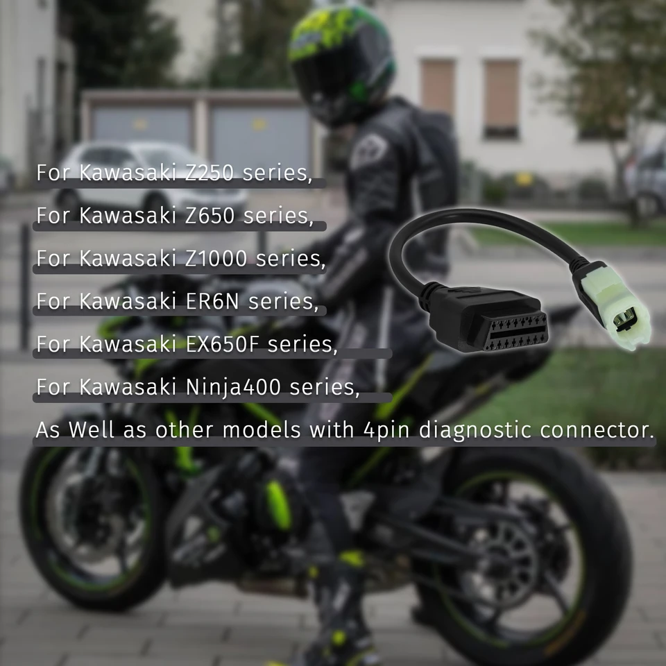 S11306f3155ce441dbbcde6534b8ae