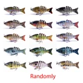 YL13-Randomly