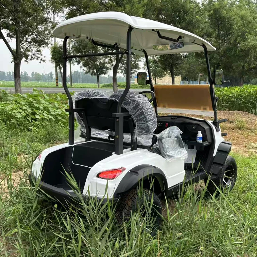 نموذج جديد 48 فولت/72 فولت الكهربائية على الطرق الوعرة رفع عربة جولف 4000 واط/7000 واط بطارية ليثيوم 2 4 6 8 قدرة الركاب عربات الغولف الكهربائية #6