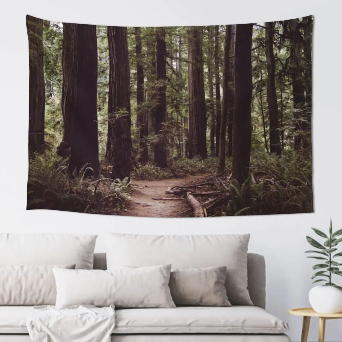 Redwood Forest Tapestry Home Decorators Wall Tapestries Tapestry