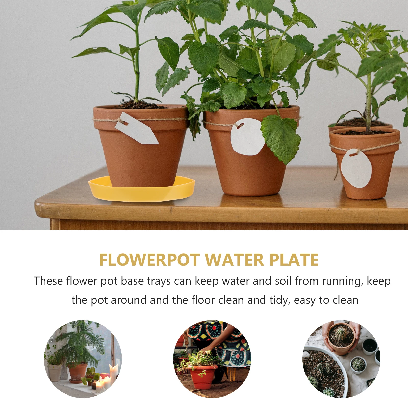 

5Pcs Lightweight Flowerpot Water Plate Perfect Plant Pot Base Tray Eco-Friendly Water Trays