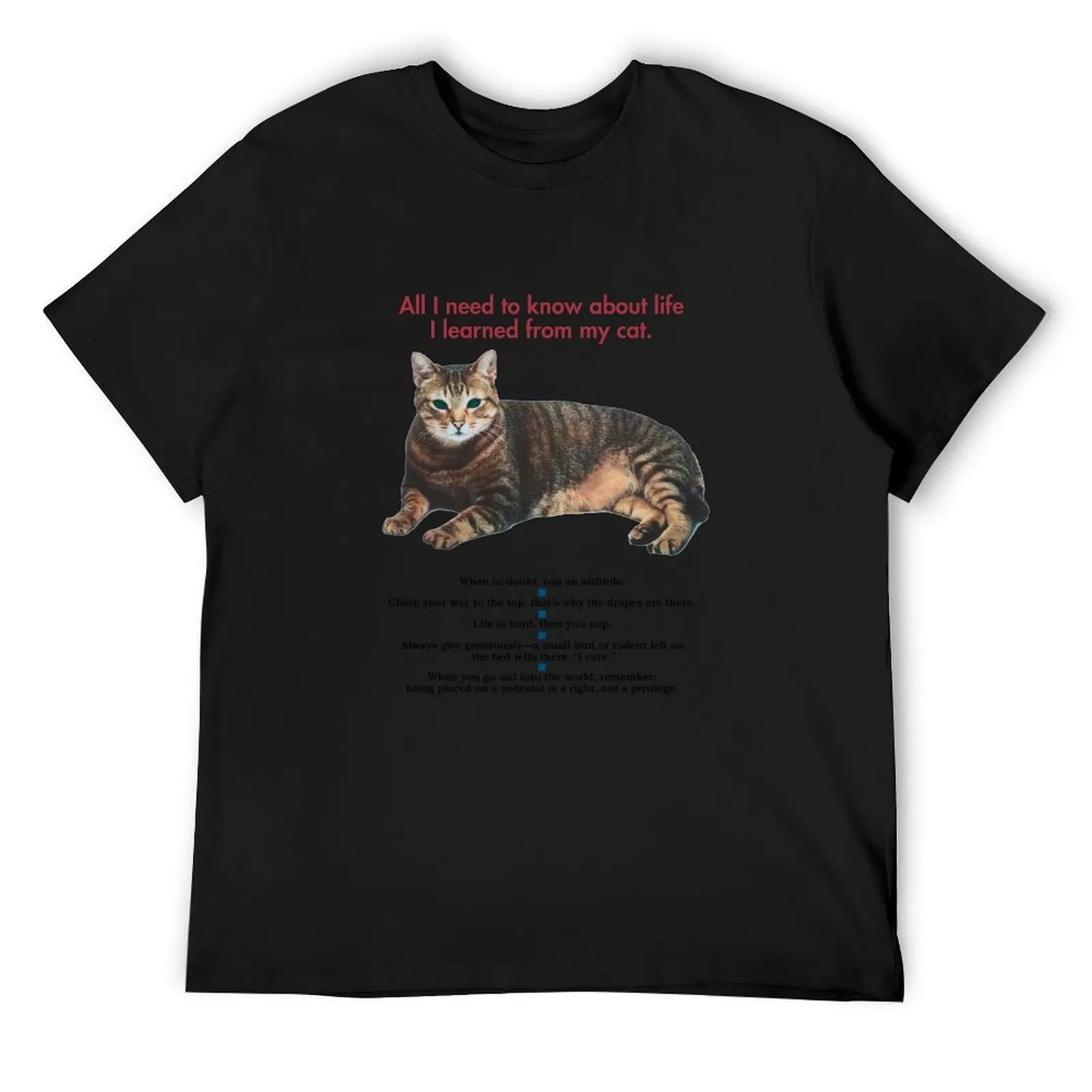 All I need to know about life I learned from my cat T-Shirt customizeds anime t shirts t shirts for men pack