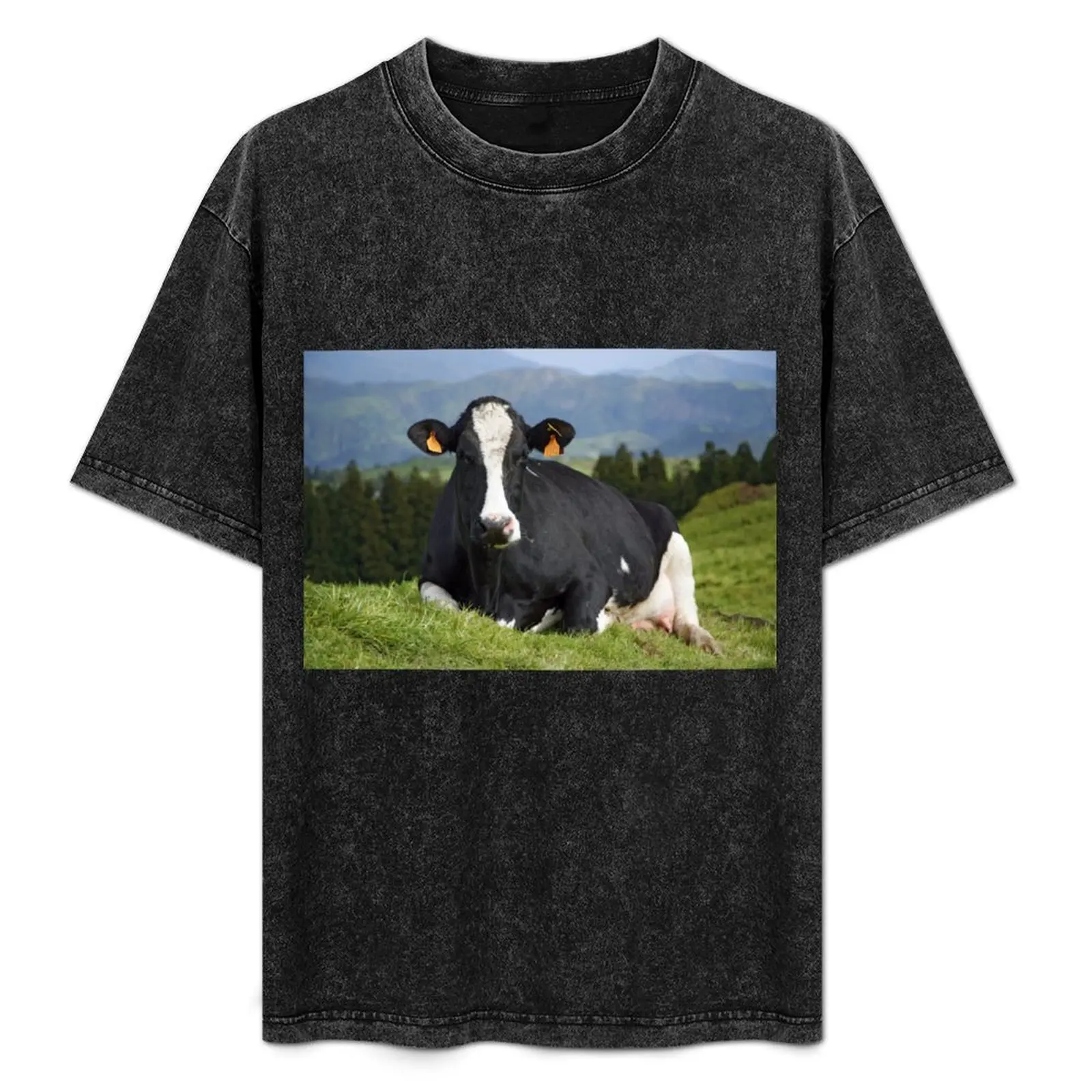 

Cow portrait T-Shirt anime figures basketball graphic tees custom t shirt summer tops anime shirts men