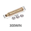 .300WIN
