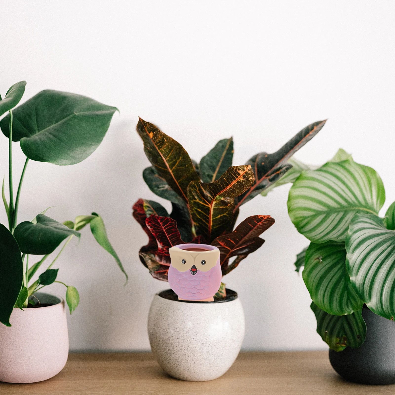 

4Pcs Automatic Plant Watering Globes Self Watering Stakes for Indoor Outdoor Potted Plants Garden Bonsai Decor Moist Soil