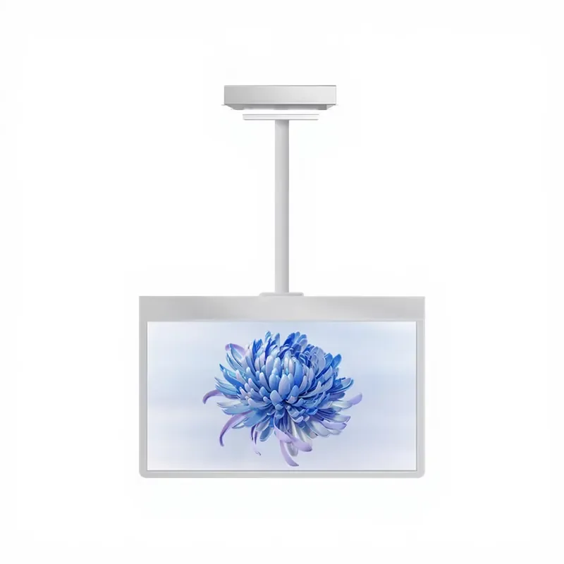 55-inch TXL VTS-HZ550D2 Floor-Standing OLED Transparent Screen 10-Point Capacitive Touch Full HD Resolution USB Interface