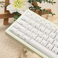 Womier White Custom Side Printed Keycaps Crystal Jelly Keycaps 113 Keys OEM Profile for Cherry MX Switches Mechanical Keyboard